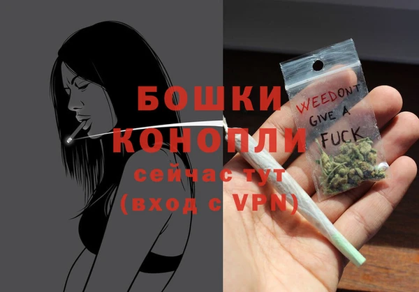 крисы Переславль-Залесский