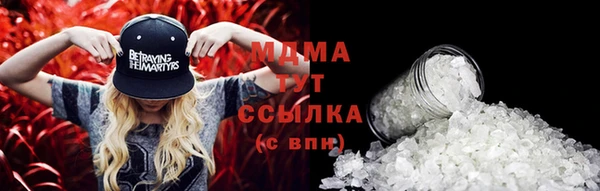 бошки Пересвет