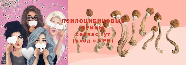 крисы Переславль-Залесский