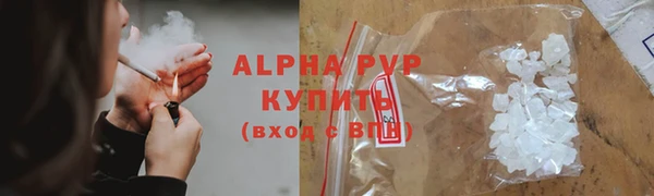 бошки Пересвет