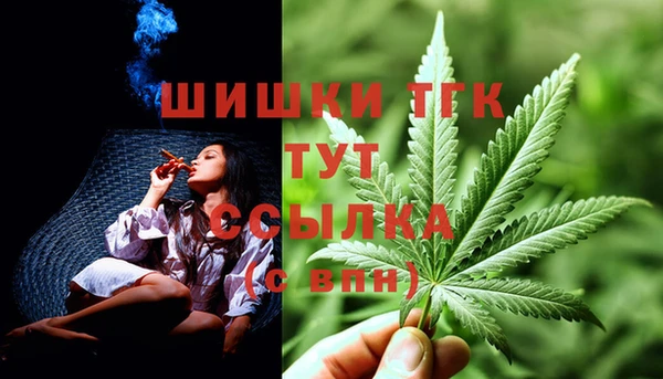 бошки Пересвет
