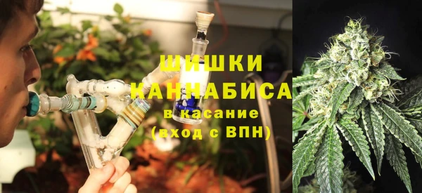 бошки Пересвет