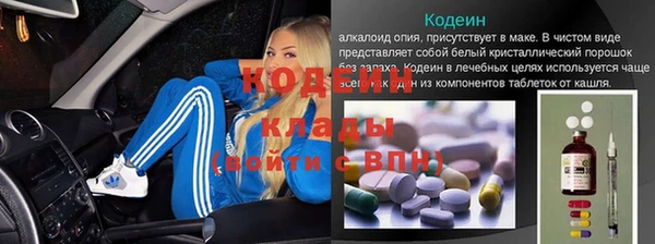 бошки Пересвет